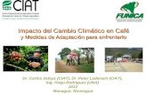 Zelaya C - Cambio Climatico y cafe Nicaragua