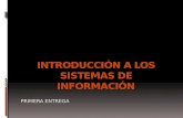 Importancia de los sistema de información informatizados I