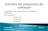 Gestión de proyectos de software