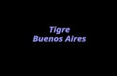 Tigre Argentina