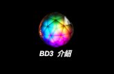 BD3 介紹, 黑鑽炫彩藍牙音響