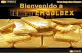 Presentacion Plan de inversión de emgoldex 2013 slide para Venezuela.