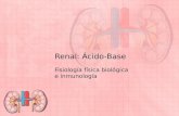 ácido base renal