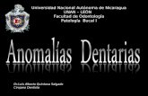 Anomalías Dentarias