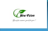Our company New Vision