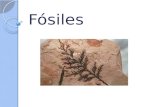 Fósiles - Física