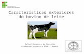 Melhoramento animal,caracteristicas exteriores do bovino de leite