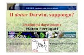 Darwin 1809-2009 Marco Ferraguti