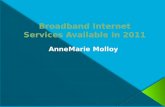 Broadband internet services available in 2011
