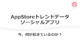 Apple store銀座ソーシャルアプリ市場調査20110118