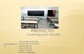 Proyecto investigacion accion (1)
