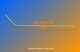 Insulinas, final