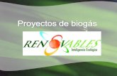 Proyectos biogás