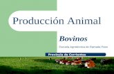 Producción Animal