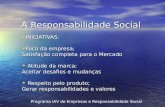 A Responsabilidade Social Empresarial - Cleber Antonello - IAV-Sustentabilidade.