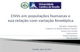 CNVs (copy number variations) em populacoes humanas e sua relacao com variacao fenotipica