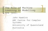 The role of machine learning in modelling the cell