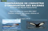 Comparaison industrie d'observation des baleines