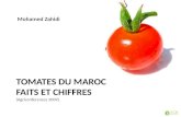 Tomate du Maroc - Faits et chiffres -Zahidi Mohammed