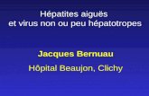 Bernuau 2012  du la piti‚ hepatites a virus peu hepatotropes