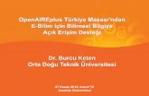 OpenAIREplus Türkiye Masası’ndan E-Bilim için Bilimsel Bilgiye Açık Erişim Desteği