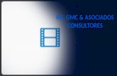 Rg, gmc & asociados consultores