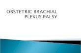 Obstetric brachial plexus Palsy