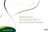 Sumario ejecutivo radiografía de la pyme 2012