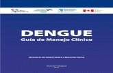 Dengue   paraguay - 2012