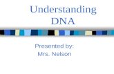 Understanding dna