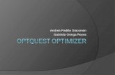 Optquest Optimizer en Flexsim