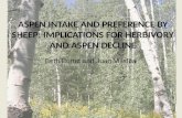Aspen Intake and Preference by Sheep: Implications for Herbivory and Aspen Decline