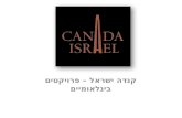 קנדה ישראל (אסי טוכמאייר, ברק רוזן) -  פרויקטים בינלאומיים