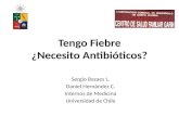 Presentacion fiebre antibioticos final