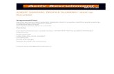 Agent vanzari  profile aluminiu- start-up