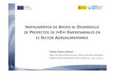 20131105 Taller h2020 instrumentos financieros del CDTI de apoyo a la innovación y a la i+d a nivel nacional e internacional. Carlos Franco