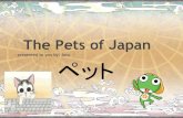 Pets in japan