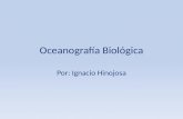 10 oceanografía biológica