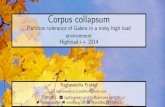 Corpus collapsum - устойчивость Galera к партиционированию, Raghavendra Prabhu (Percona)