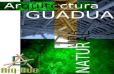 Arq.Dua Revista De Arquitectura En Guadua