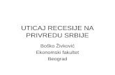 Uticaj Recesije Na Privredu Srbije   Prof. Dr. Zivkovic