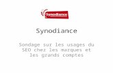 Synodiance > Sondage Usages SEO EBG - 14/12/2010