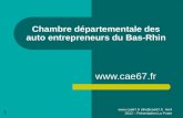 L'auto-entreprise - Présentation à La Poste - Avril 2012