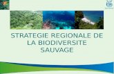 Stratégie régionale de la biodiversité