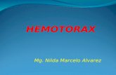 Hemotorax nilda
