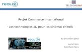 Projet commerce international
