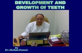 Tooth development .. hesham dameer