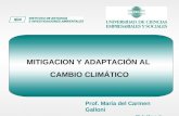 Mitigación y adaptación al Cambio Climático