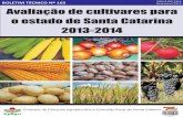 Avaliação de Cultivares para o Estado de Santa Catarina