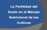 La Fertilidad del Suelo en el Manejo Nutricional - Exp. Ing. Mg.Sc. Andres Gonzales